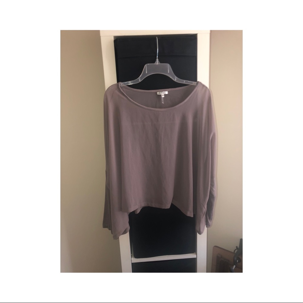 Sheer cropped top